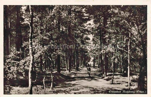 Kahlberg ostseebad - kahlberg,